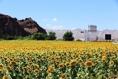 《战地2042》即将迎来大更新 加入硫磺岛地图